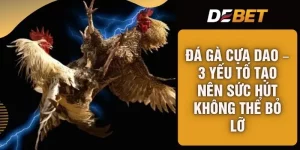 Đá Gà Cựa Dao – 3 Yếu Tố Tạo Nên Sức Hút Không Thể Bỏ Lỡ